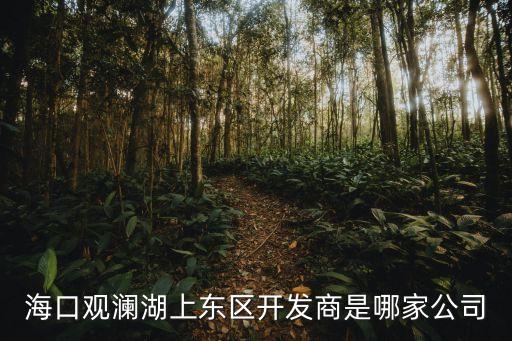 ?？谟^瀾湖上東區(qū)開發(fā)商是哪家公司