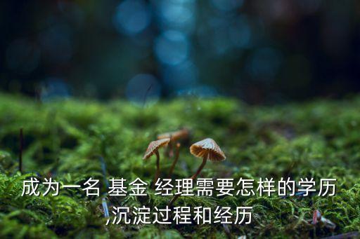 成為一名 基金 經(jīng)理需要怎樣的學(xué)歷,沉淀過(guò)程和經(jīng)歷