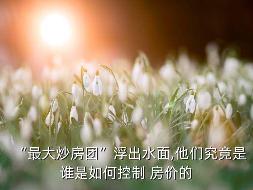 “最大炒房團”浮出水面,他們究竟是誰是如何控制 房價的