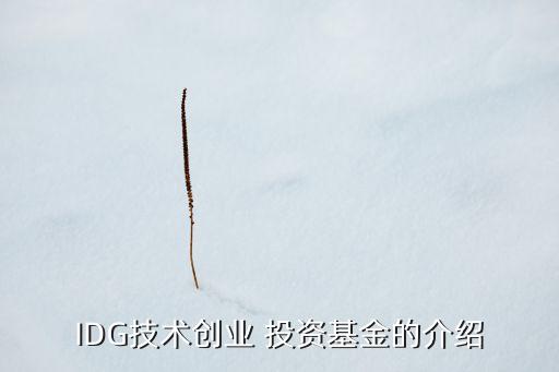 IDG技術創(chuàng)業(yè) 投資基金的介紹