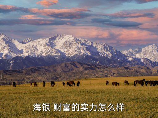 海銀 財富的實(shí)力怎么樣