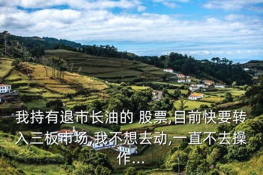 我持有退市長油的 股票,目前快要轉(zhuǎn)入三板市場,我不想去動,一直不去操作...