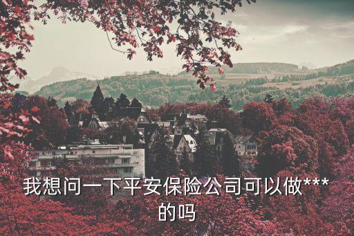 我想問(wèn)一下平安保險(xiǎn)公司可以做***的嗎