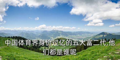 2015年中國(guó)誰(shuí)最有錢(qián)