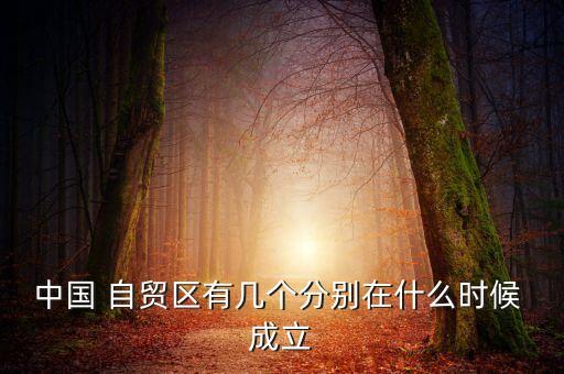 中國 自貿(mào)區(qū)有幾個(gè)分別在什么時(shí)候 成立