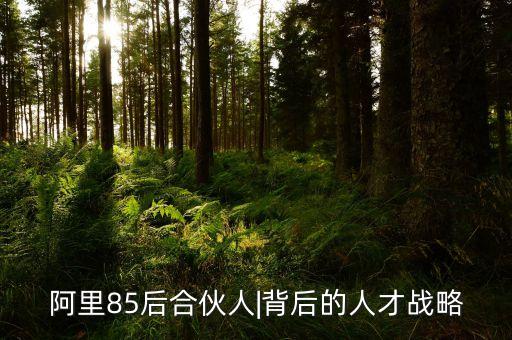 阿里巴巴公司治理問(wèn)題