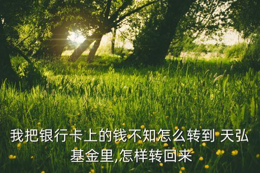 我把銀行卡上的錢(qián)不知怎么轉(zhuǎn)到 天弘 基金里,怎樣轉(zhuǎn)回來(lái)