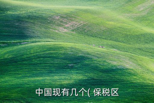 中國現有幾個( 保稅區(qū)