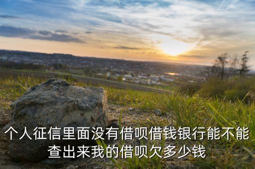 個(gè)人征信里面沒(méi)有借唄借錢銀行能不能查出來(lái)我的借唄欠多少錢