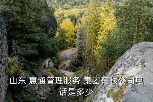 美股惠通集團,阿里巴巴集團美股