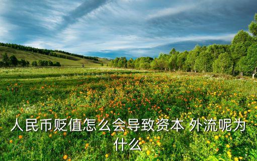 2014中國(guó)資金外流,中國(guó)富豪資金外流