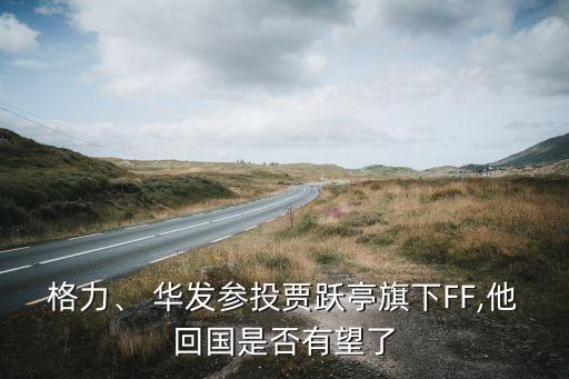 格力、 華發(fā)參投賈躍亭旗下FF,他回國是否有望了