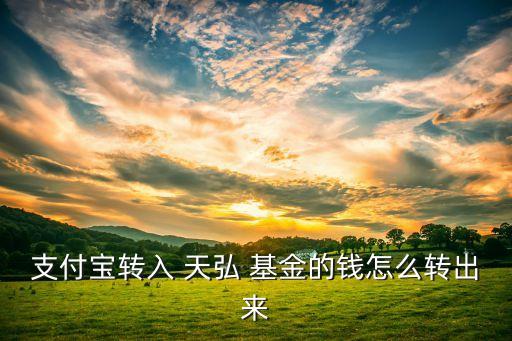 支付寶轉(zhuǎn)入 天弘 基金的錢(qián)怎么轉(zhuǎn)出來(lái)