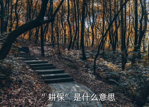“ 耕?！笔鞘裁匆馑? class=