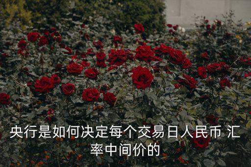 中國(guó)匯率機(jī)制,香港匯率機(jī)制