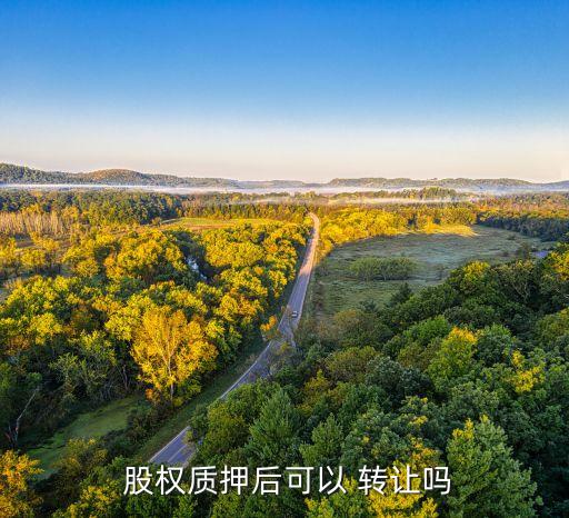 浙江稠州商業(yè)銀行的股權可以轉讓嗎
