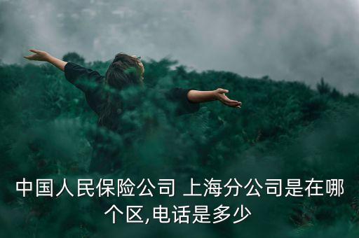 中國(guó)人民保險(xiǎn)公司 上海分公司是在哪個(gè)區(qū),電話(huà)是多少