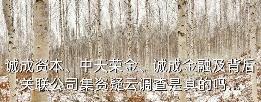 誠成資本、中天榮金、誠成金融及背后關(guān)聯(lián)公司集資疑云調(diào)查是真的嗎...