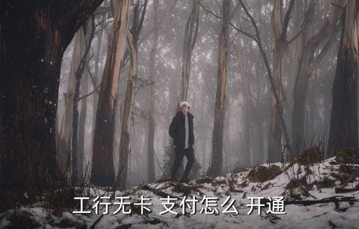 工行無(wú)卡 支付怎么 開(kāi)通
