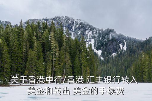 關(guān)于香港中行/香港 匯豐銀行轉(zhuǎn)入 美金和轉(zhuǎn)出 美金的手續(xù)費