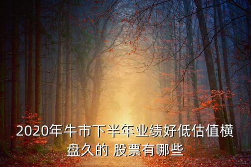 2020年牛市下半年業(yè)績(jī)好低估值橫盤(pán)久的 股票有哪些