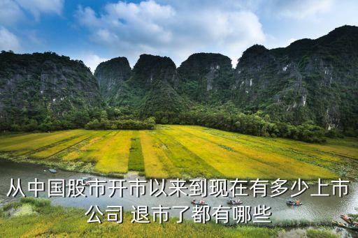 從中國股市開市以來到現在有多少上市公司 退市了都有哪些