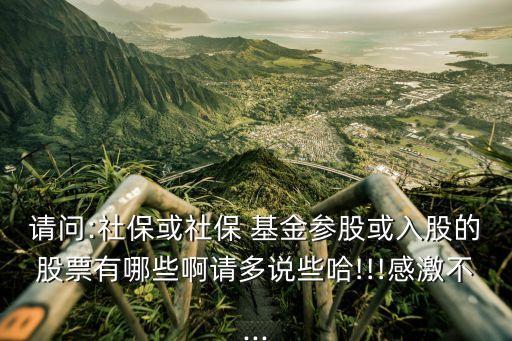請(qǐng)問:社?；蛏绫?基金參股或入股的股票有哪些啊請(qǐng)多說些哈!!!感激不...