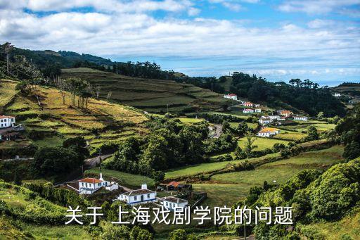 關于 上海戲劇學院的問題