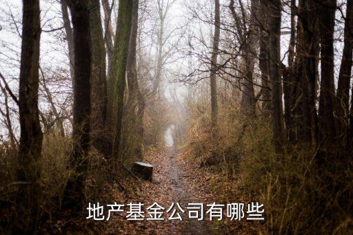 保德信房地產(chǎn)投資管理,西安保德信房地產(chǎn)開(kāi)發(fā)有限公司