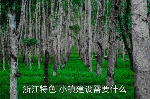 浙江特色 小鎮(zhèn)建設(shè)需要什么