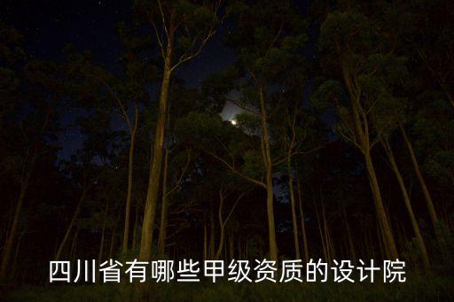 四川省有哪些甲級資質(zhì)的設(shè)計(jì)院