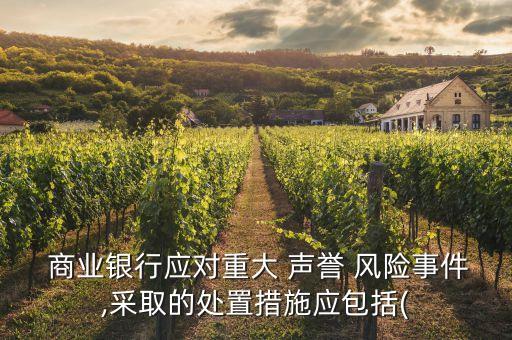 商業(yè)銀行聲譽風(fēng)險管理辦法