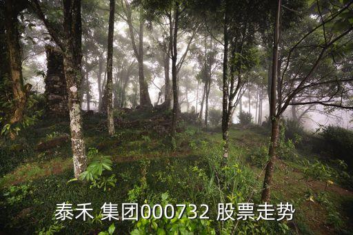泰禾 集團(tuán)000732 股票走勢(shì)