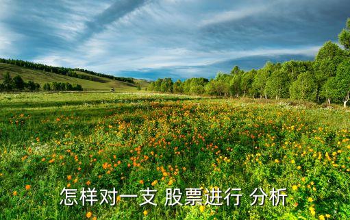 怎樣對一支 股票進(jìn)行 分析