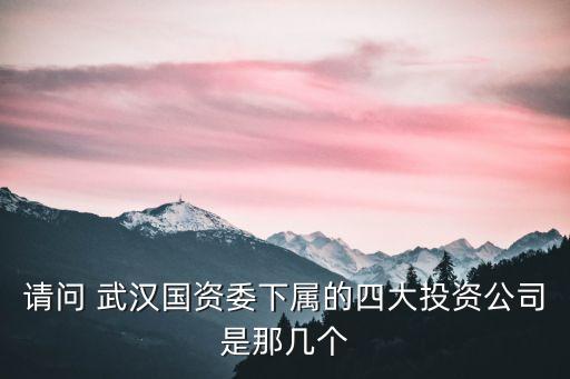 請問 武漢國資委下屬的四大投資公司是那幾個(gè)