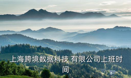  上?？缇硵?shù)據(jù)科技 有限公司上班時間