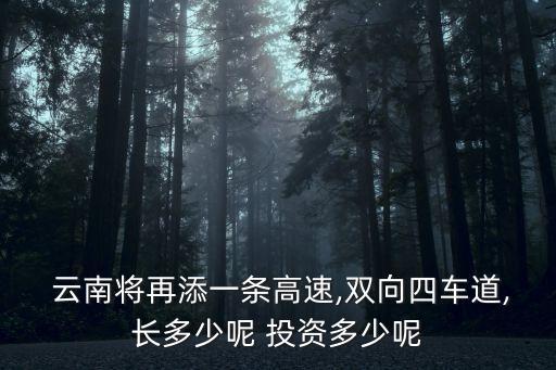  云南將再添一條高速,雙向四車(chē)道,長(zhǎng)多少呢 投資多少呢