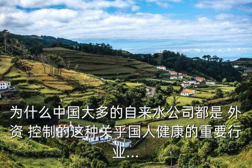 為什么中國大多的自來水公司都是 外資 控制的這種關乎國人健康的重要行業(yè)...