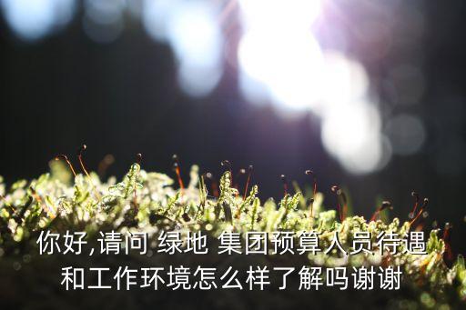 你好,請問 綠地 集團預(yù)算人員待遇和工作環(huán)境怎么樣了解嗎謝謝