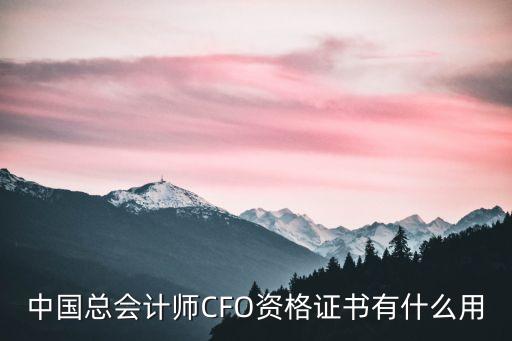 中國(guó)企業(yè)財(cái)務(wù)總監(jiān)通訊錄資料購買