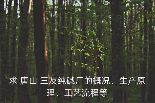 求 唐山 三友純堿廠的概況、生產(chǎn)原理、工藝流程等
