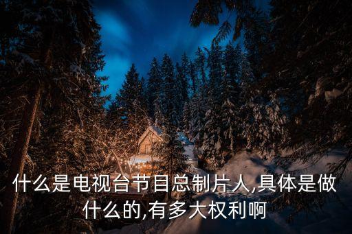 什么是電視臺節(jié)目總制片人,具體是做什么的,有多大權利啊