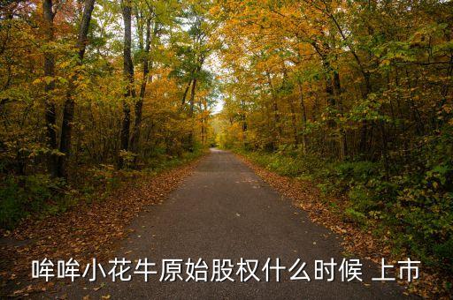 哞哞小花牛原始股權什么時候 上市