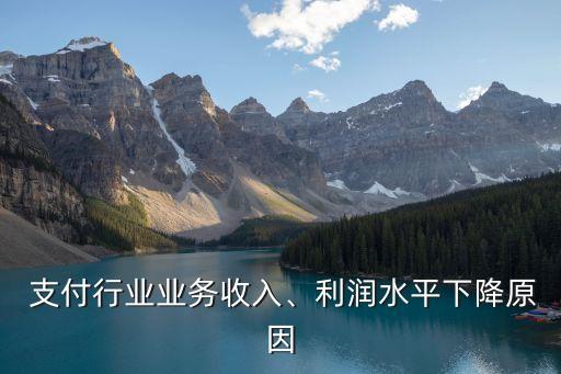  支付行業(yè)業(yè)務收入、利潤水平下降原因