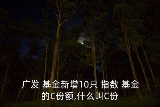  廣發(fā) 基金新增10只 指數 基金的C份額,什么叫C份