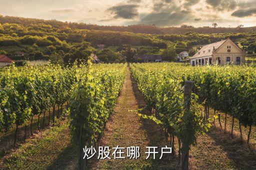 炒股在哪 開(kāi)戶(hù)