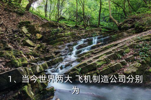 1、當(dāng)今世界兩大 飛機(jī)制造公司分別為