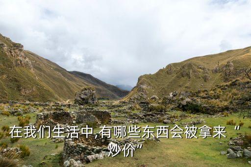 在我們生活中,有哪些東西會(huì)被拿來“炒價(jià)”