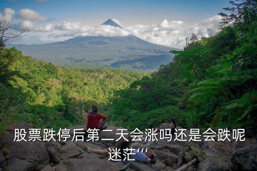  股票跌停后第二天會漲嗎還是會跌呢迷?！? class=