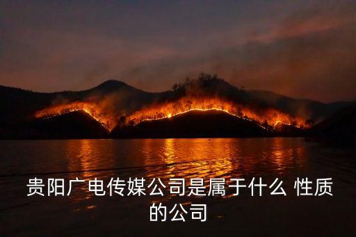 貴陽(yáng)中天城投集團(tuán)是什么性質(zhì)企業(yè)
